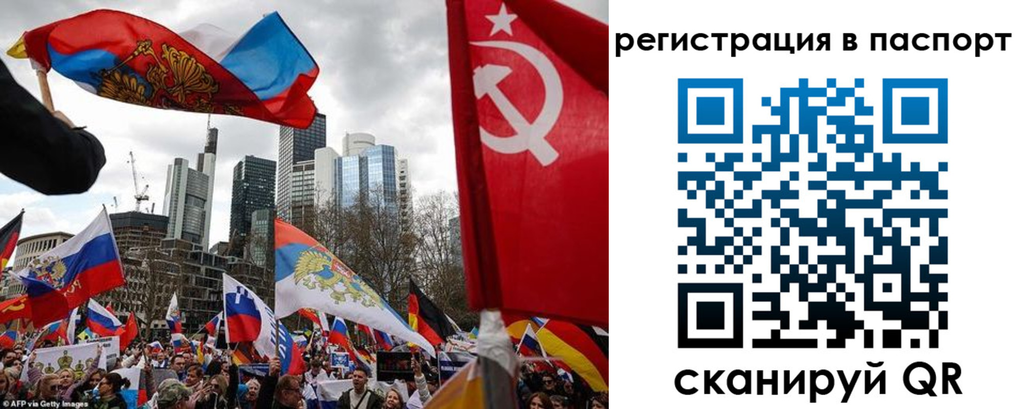 временная регистрация поиск в Оленегорске